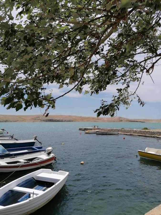 Apartman Lidija Dinjiška Buitenkant foto
