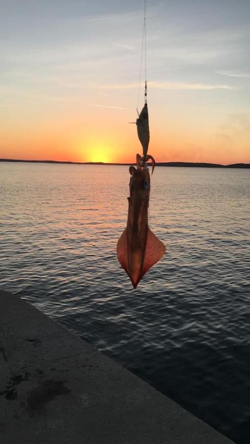 Apartman Lidija Dinjiška Buitenkant foto