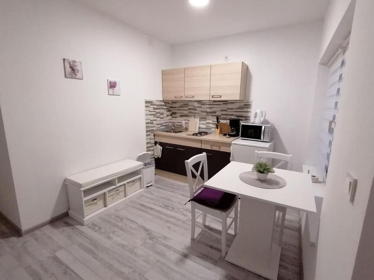Apartman Lidija Dinjiška Buitenkant foto