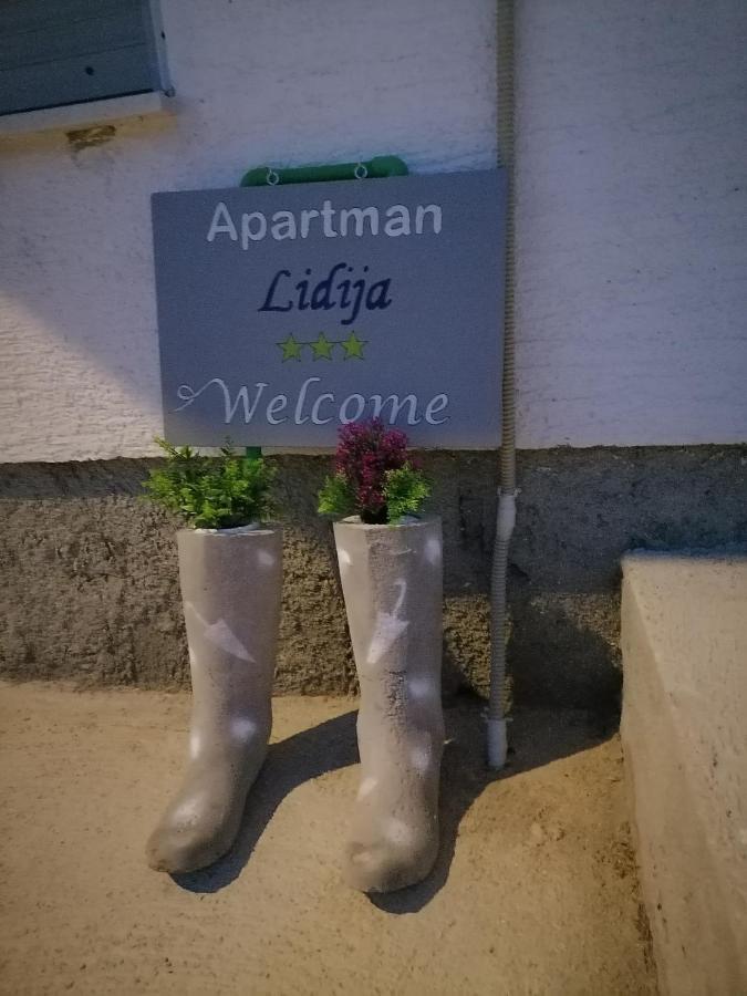Apartman Lidija Dinjiška Buitenkant foto